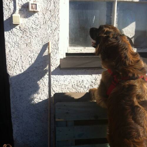 NW2-3 Tema höga gömmor 27/3