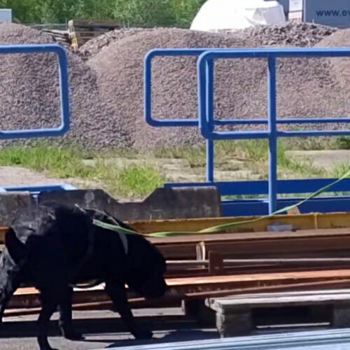 Nw1 tema utomhus, 31/5