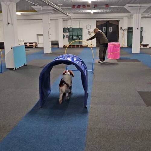 Hoopers tematräning 15 juli