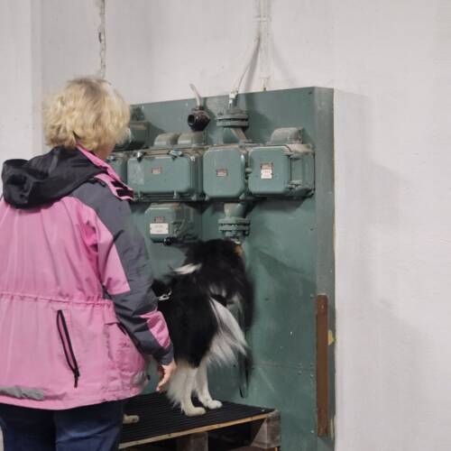 Nw2, stort område 5/6