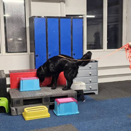 Nw1 inomhus - omvägsproblem 23/5