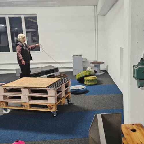 Nose work klass 1, låga gömmor 12/4