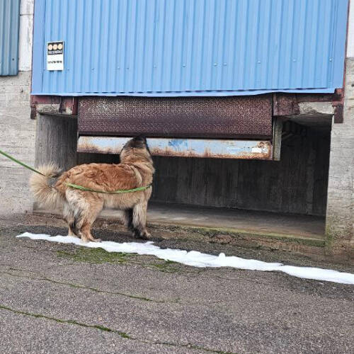 NW2-3 Tema utomhus 3/4