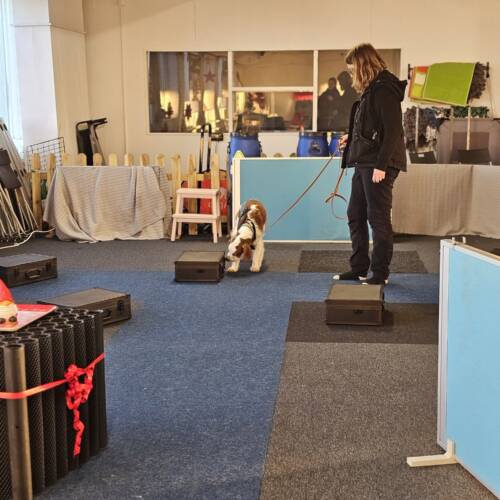 Nw1, stort område 5/6