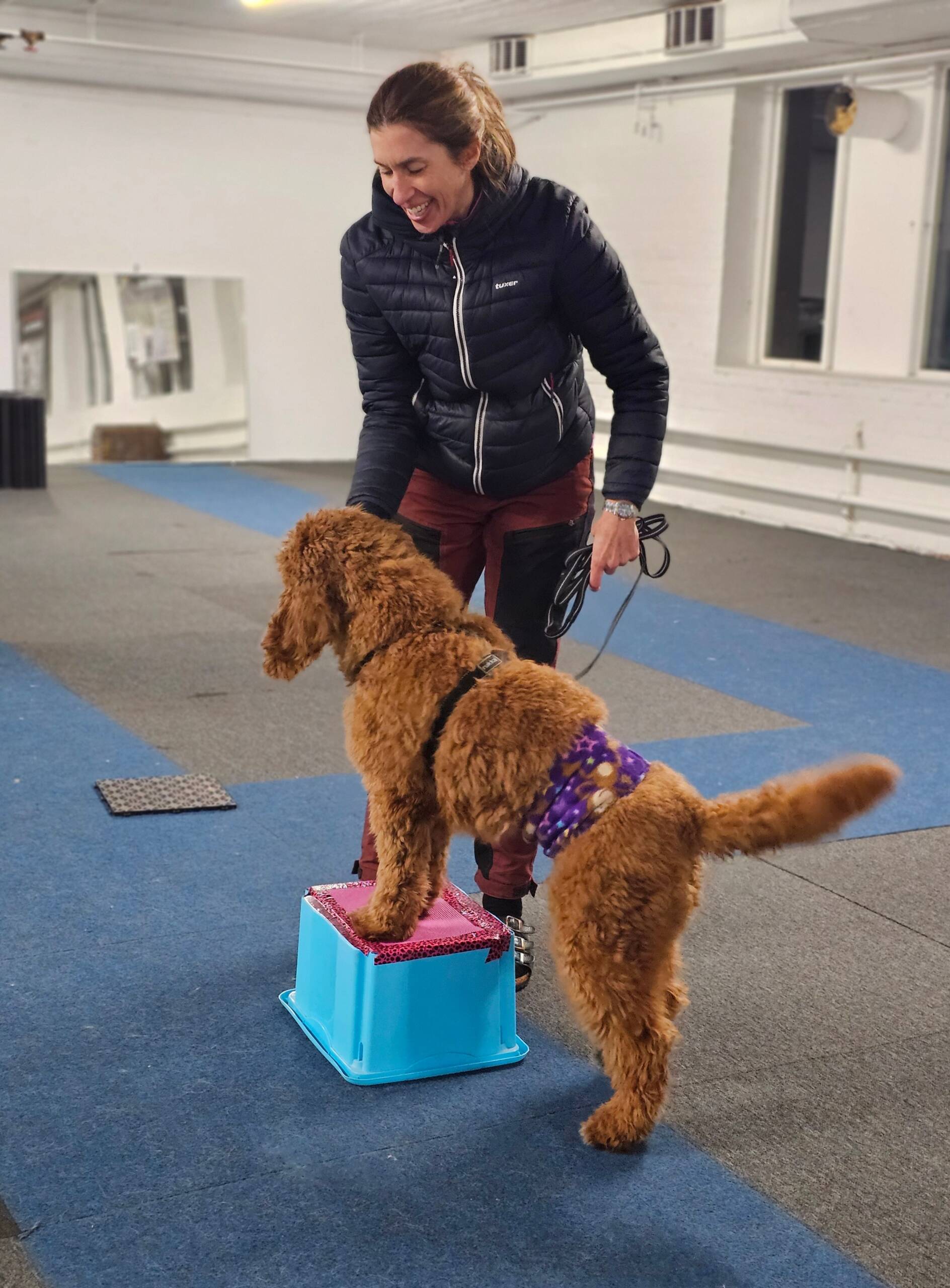 Unghundskurs start 24 juni - Bild 2