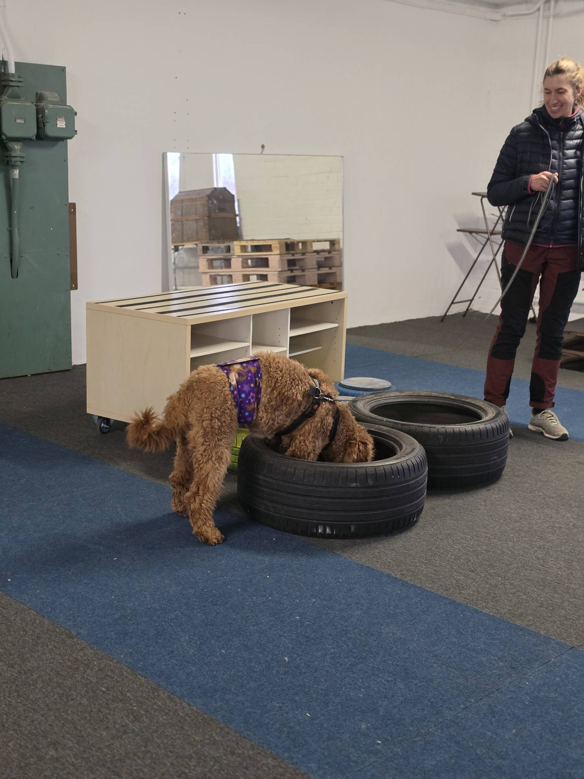 Unghundskurs start 24 juni - Bild 4