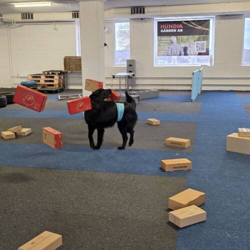 Nw1 Galna behållare, 11/6