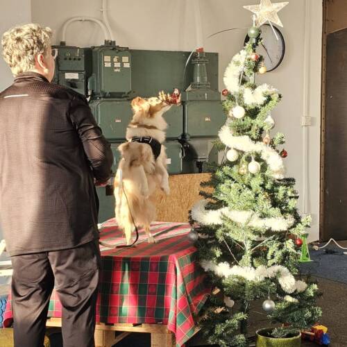 NW1 Clear round - Christmas edition - 22 dec.