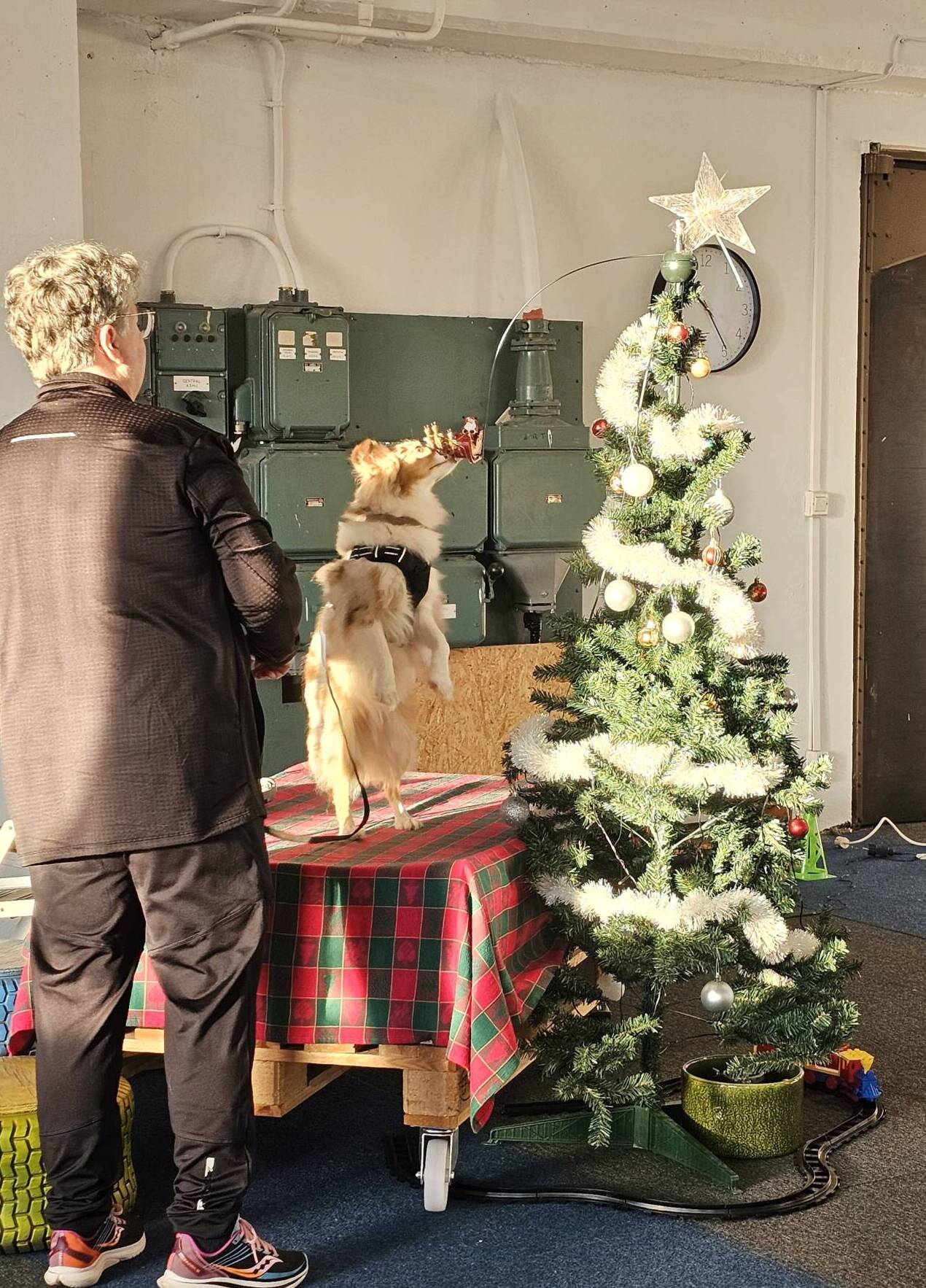 NW1 Clear round - Christmas edition - 22 dec.