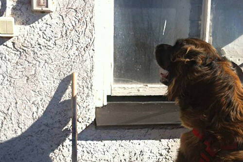 NW2 – Utveckling & fördjupning 5/2