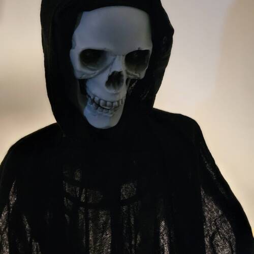 Halloween nosen träningstillfälle 9/11