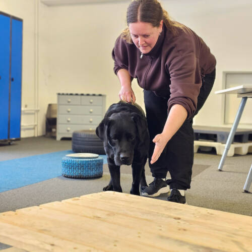 Boka privat träningstillfälle med Elin