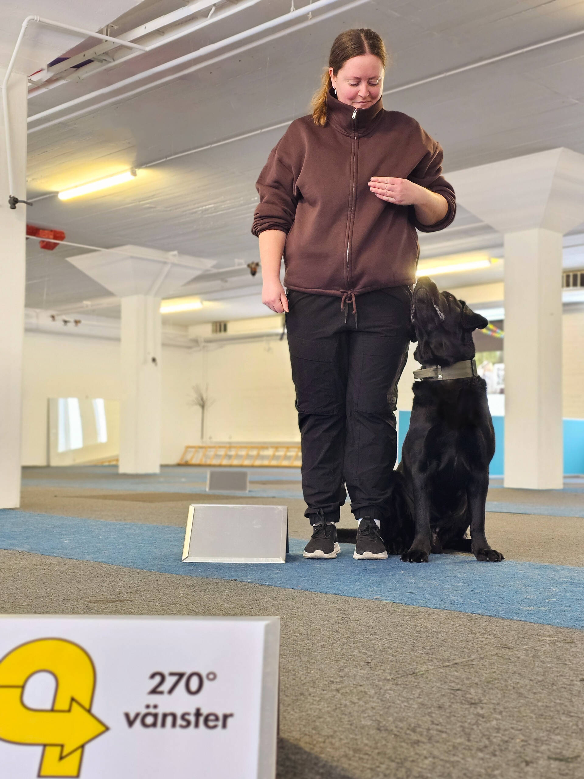 Boka privat träningstillfälle med Elin - Bild 2