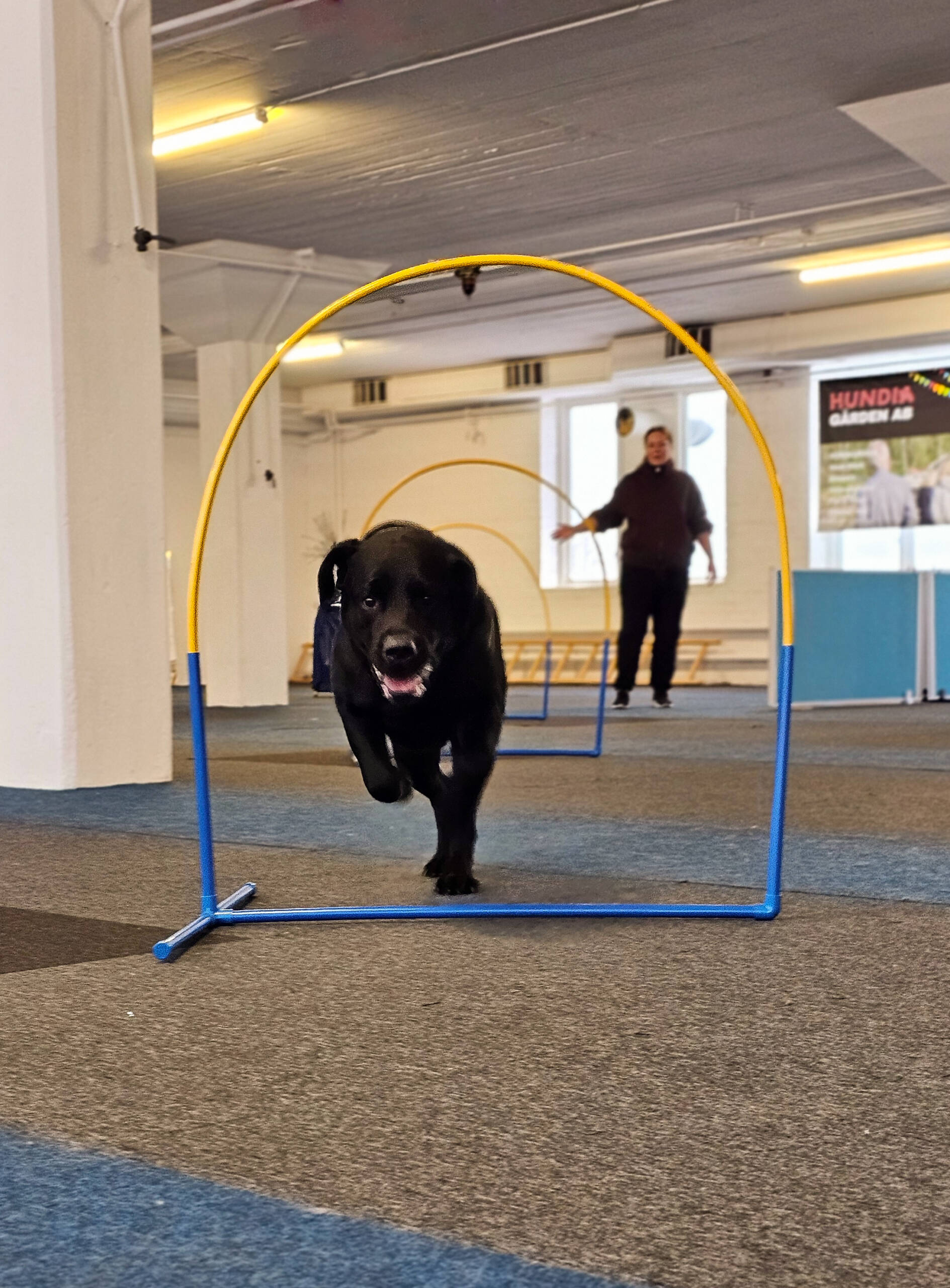 Boka privat träningstillfälle med Elin - Bild 6