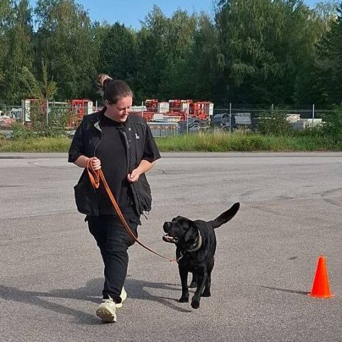 Rallylydnad grundkurs dagtid - 7/1