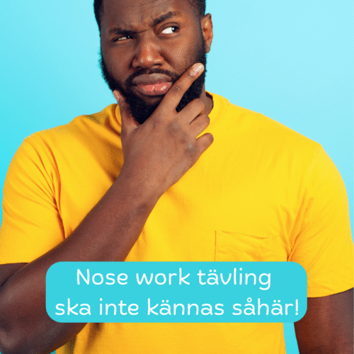 Tävling - allt du vill veta!