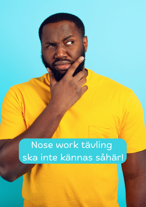 Tävling - allt du vill veta!