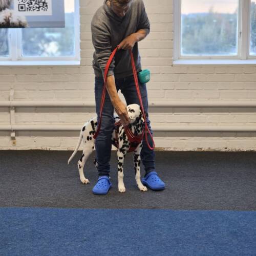 Valpträff 16 november