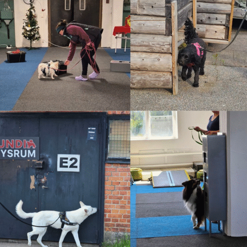 Nw klass 1 utomhus + inomhus 12/12