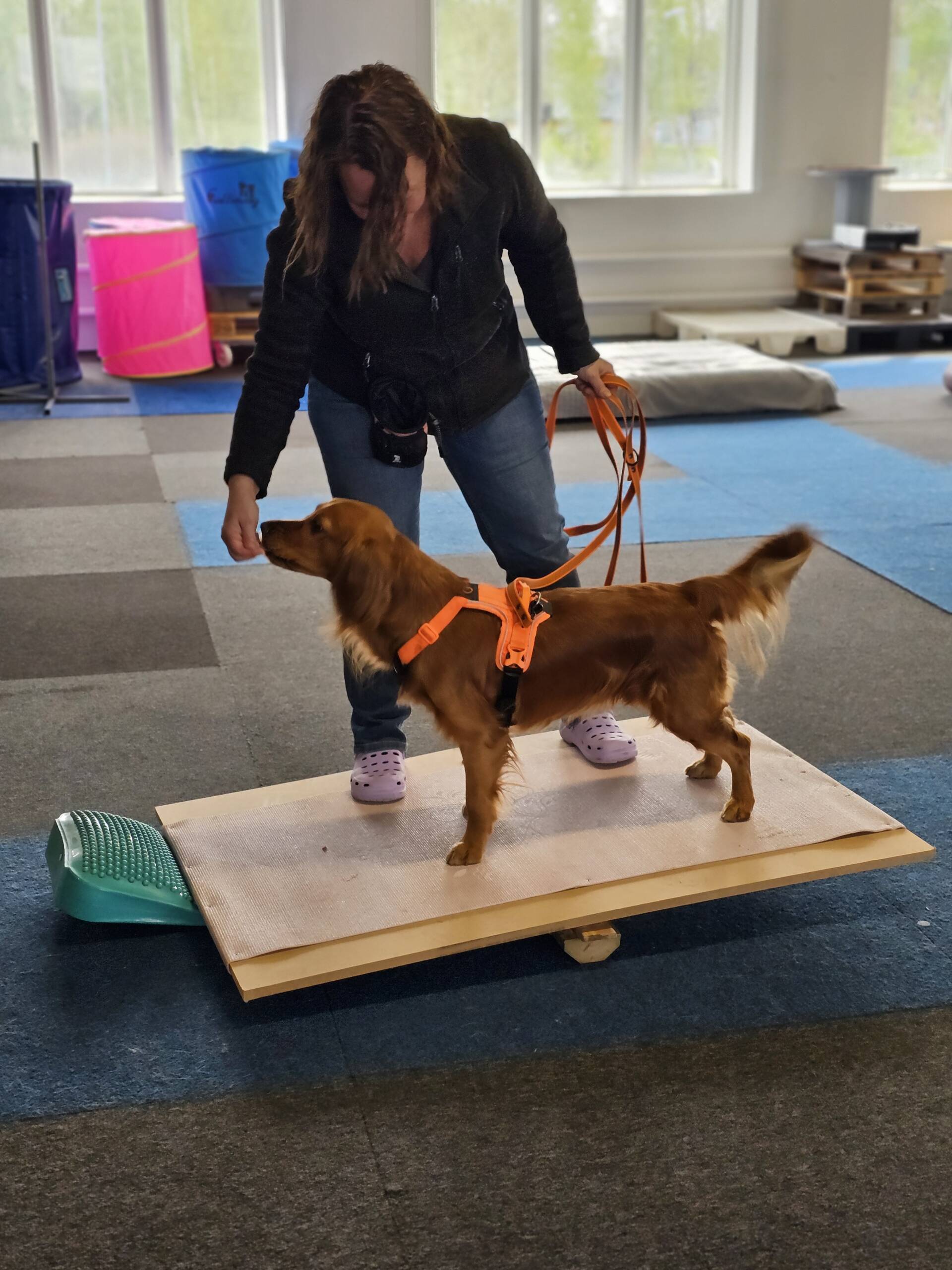 Proprioception - träningstillfälle 8/3 - Bild 2