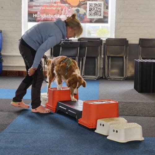 Proprioception - träningstillfälle 8/3