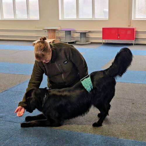 Trickkurs start 26/3