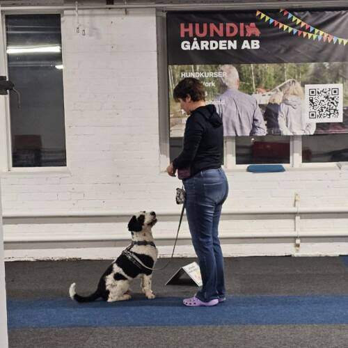 Rallylydnad bana 4 mars