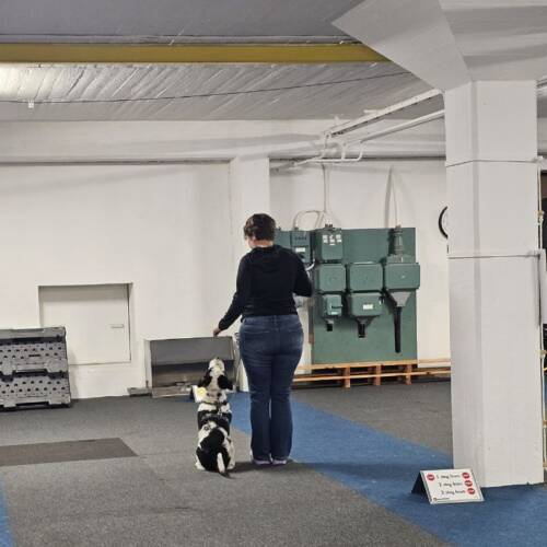 Rallylydnad bana 18 februari