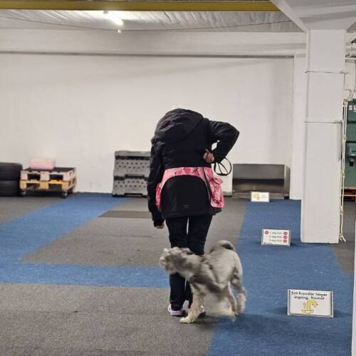 Rallylydnad bana 25 februari