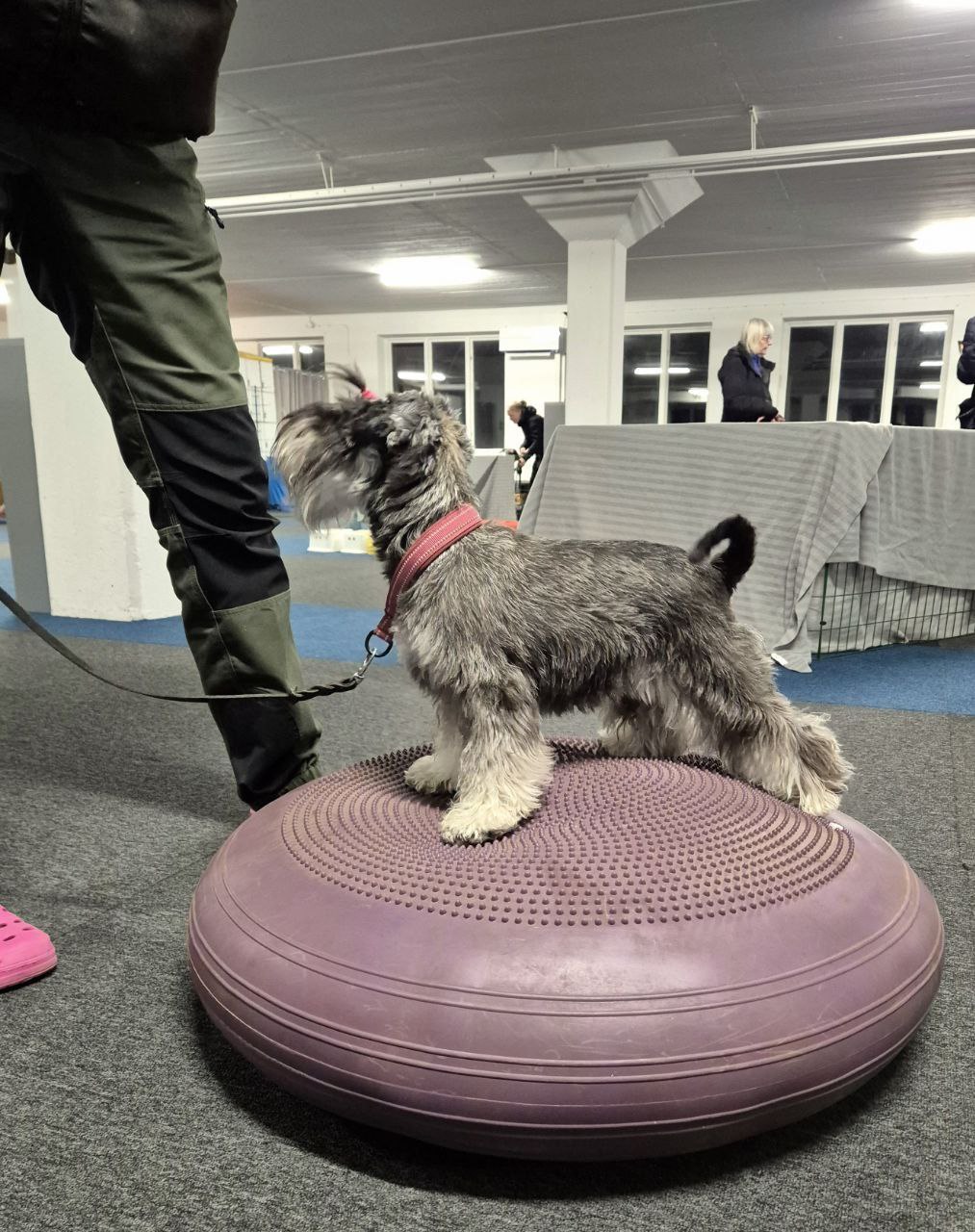 Proprioception - träningstillfälle 8/3 - Bild 4