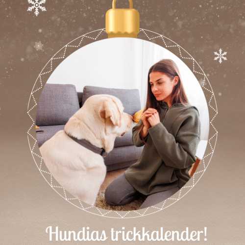 Julkalender - Jultricket