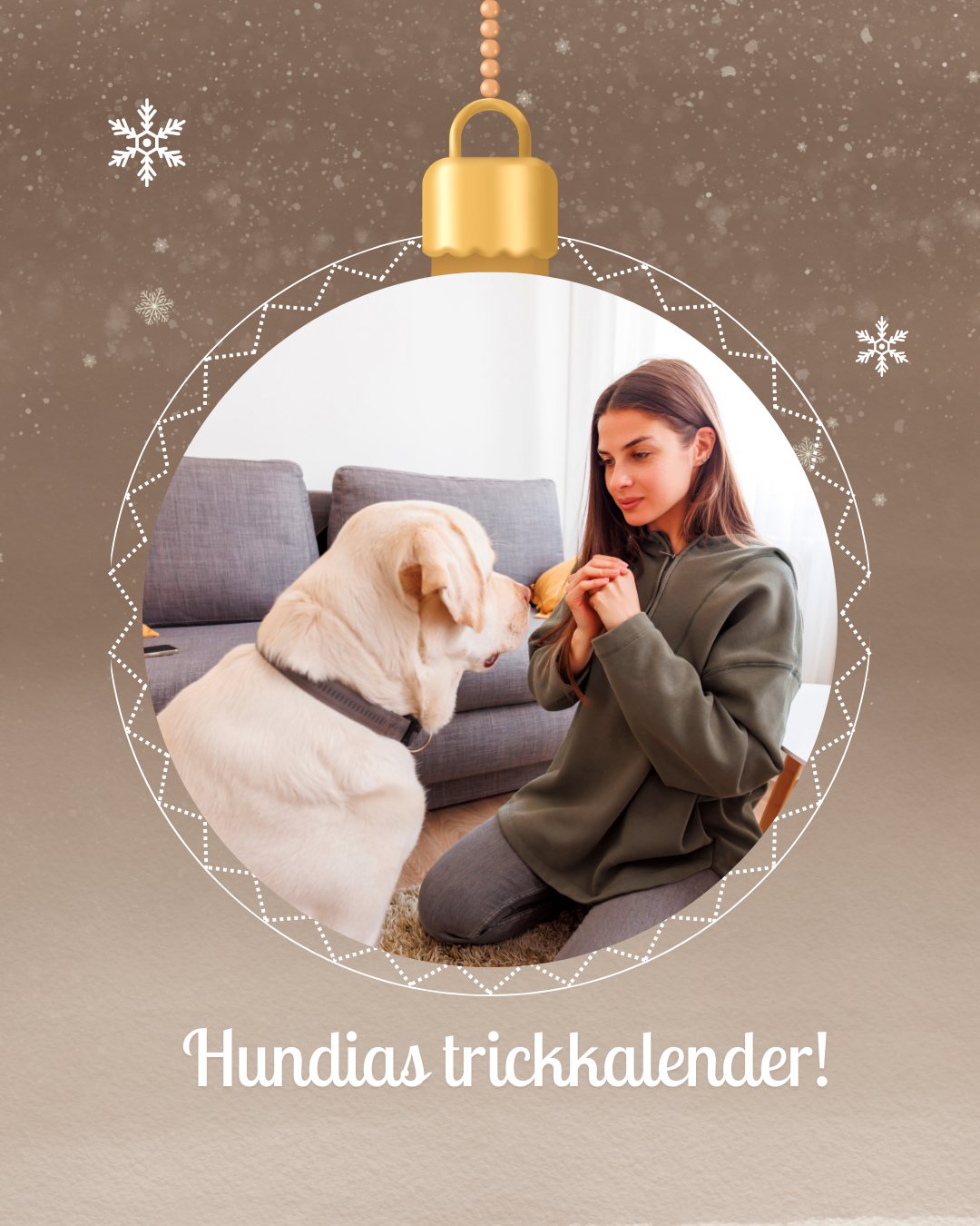 Julkalender - Jultricket