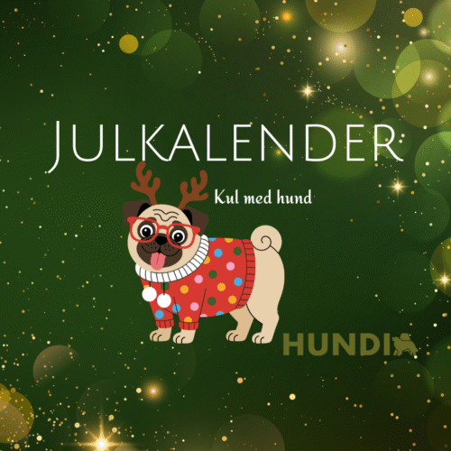 Julkalender - kul med hund