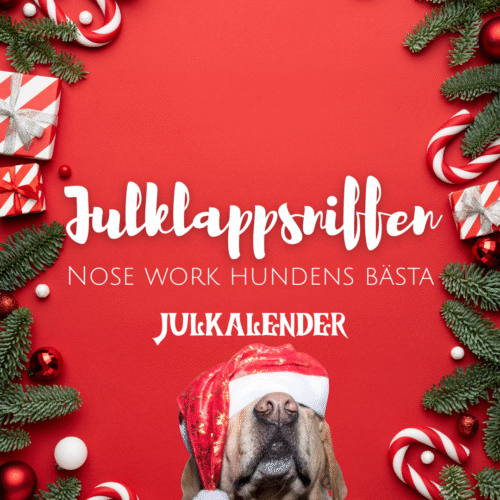 Julkalender - Julklappsniffen