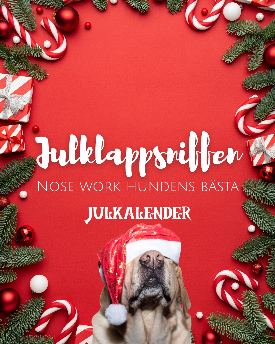Julkalender - Julklappsniffen