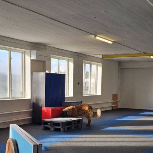 TEMA djupa gömmor NW2-3, 15/2