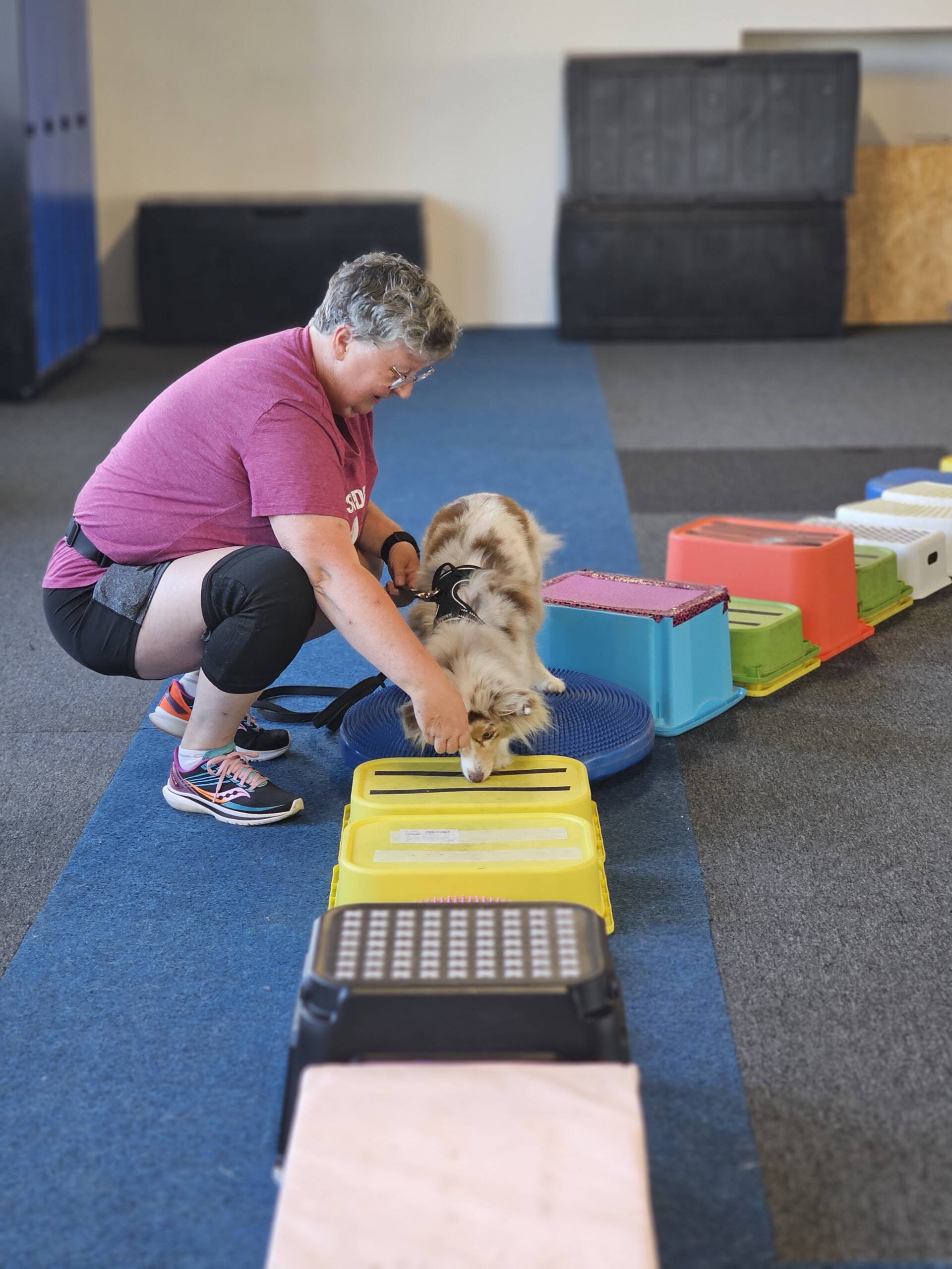 Proprioception - träningstillfälle - 19/3 - Bild 4