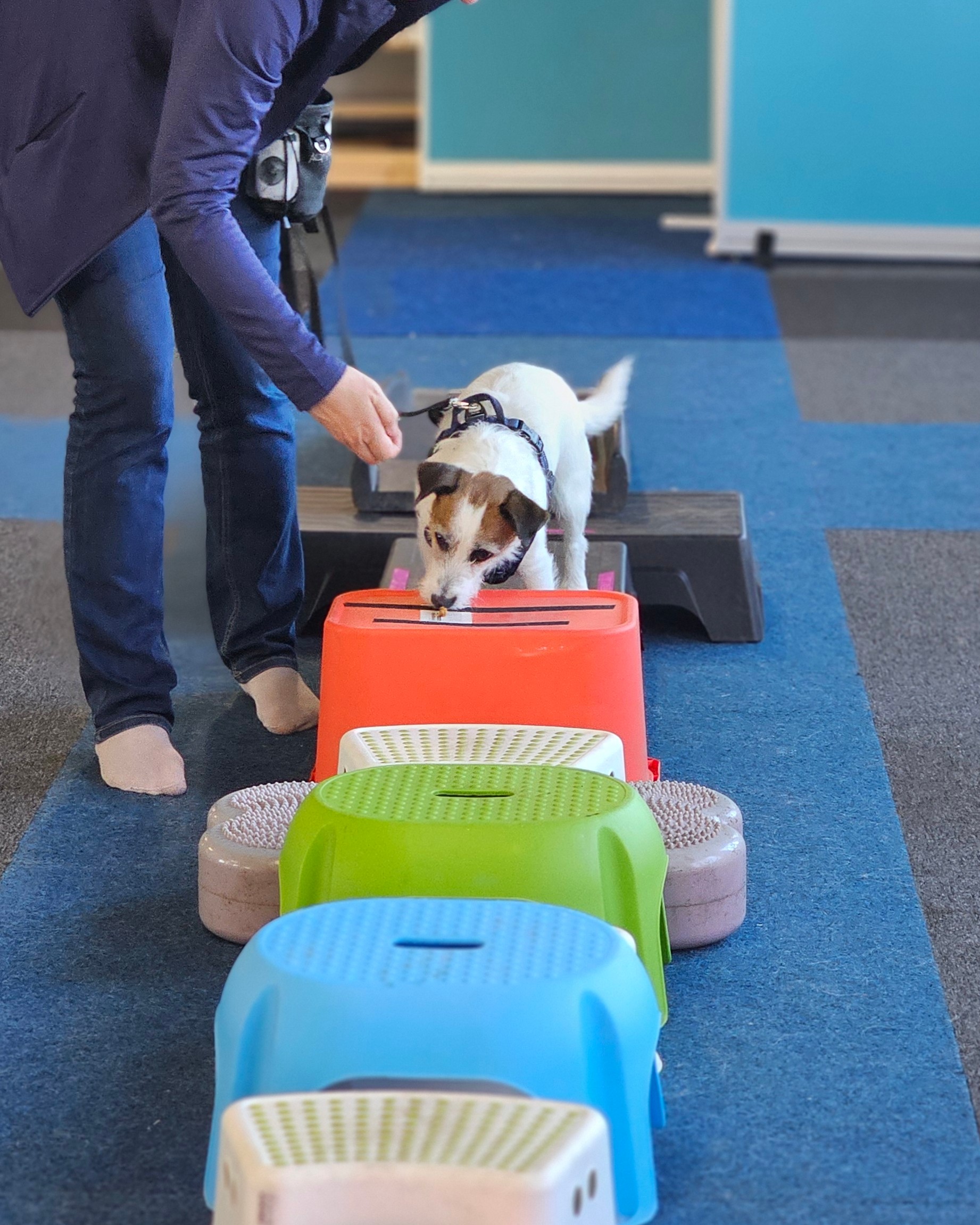 Proprioception - träningstillfälle - 19/3 - Bild 3