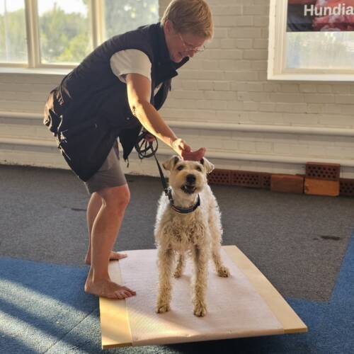 Proprioception - träningstillfälle - 19/3