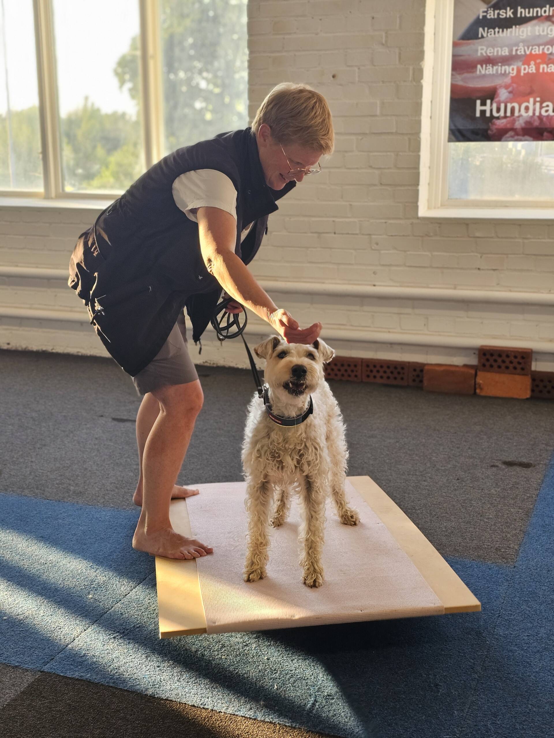 Proprioception - träningstillfälle - 19/3