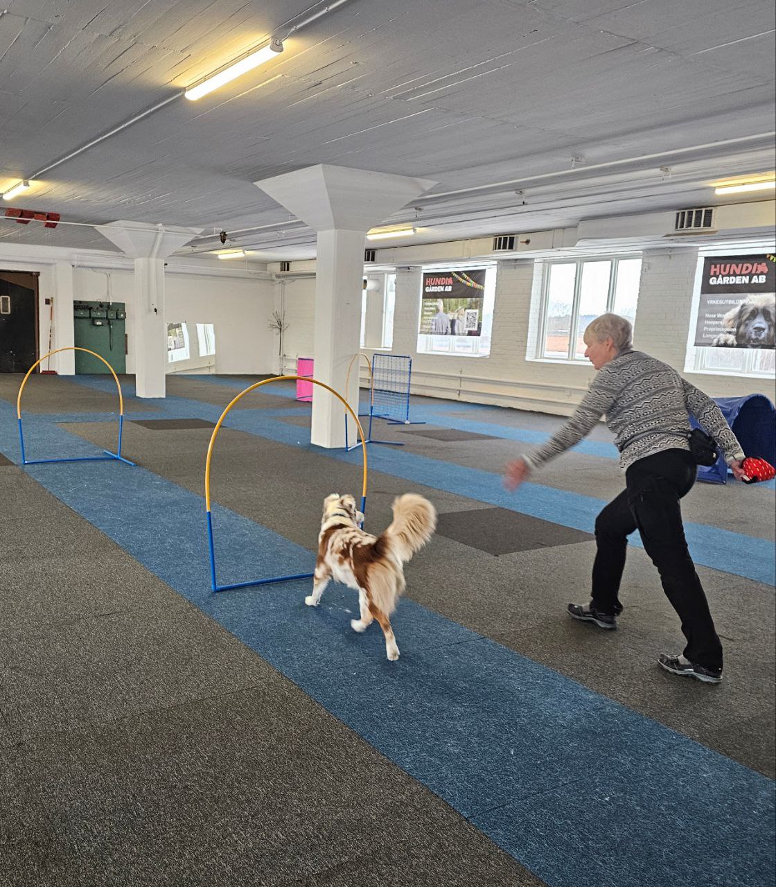 Hoopers grundkurs start 11 maj