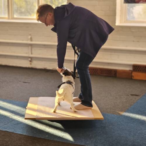 Kroppskontroll, träningstillfälle 6 juli