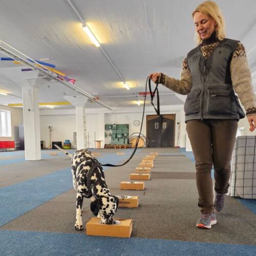 Intensivkurs nw2, 8+10 april