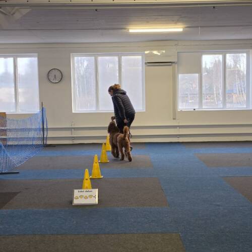 Rallylydnad grundkurs, start 2 juli