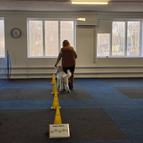 Rallylydnad banträning, 25 juni