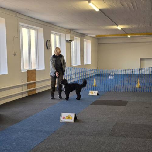 Rallylydnad tema svängar, 9 juni