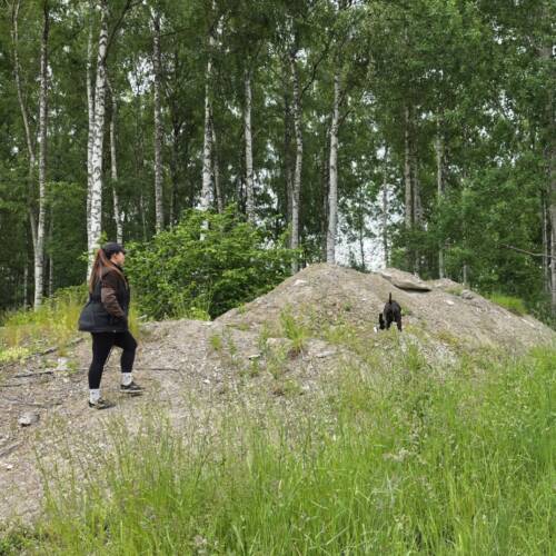 Nw1- 11/10 - natursök med störning