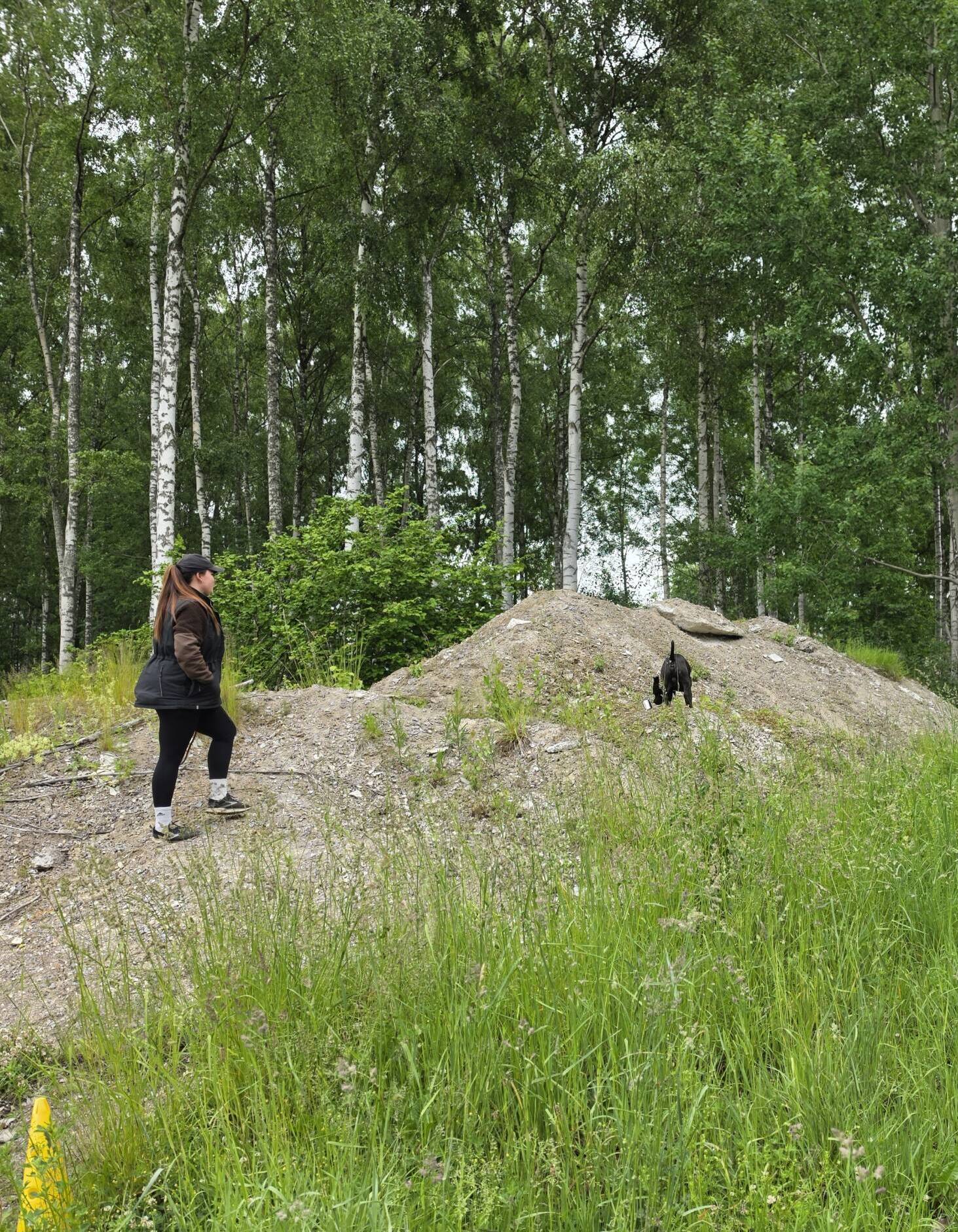 Nw1- 11/10 - natursök med störning