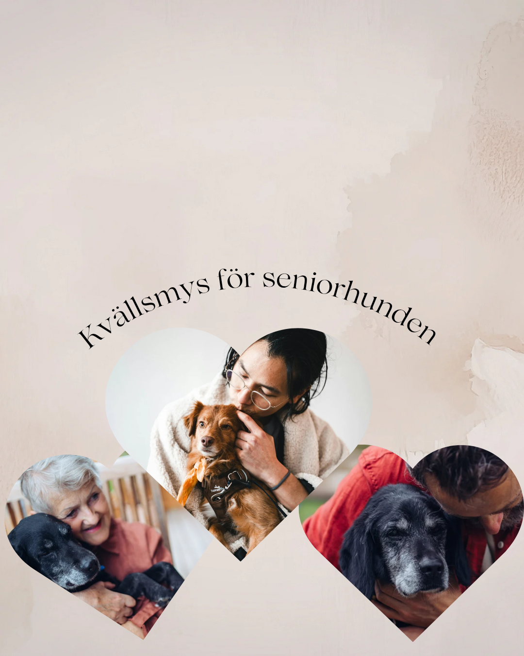 Kvällsmys för seniorhunden 9/7