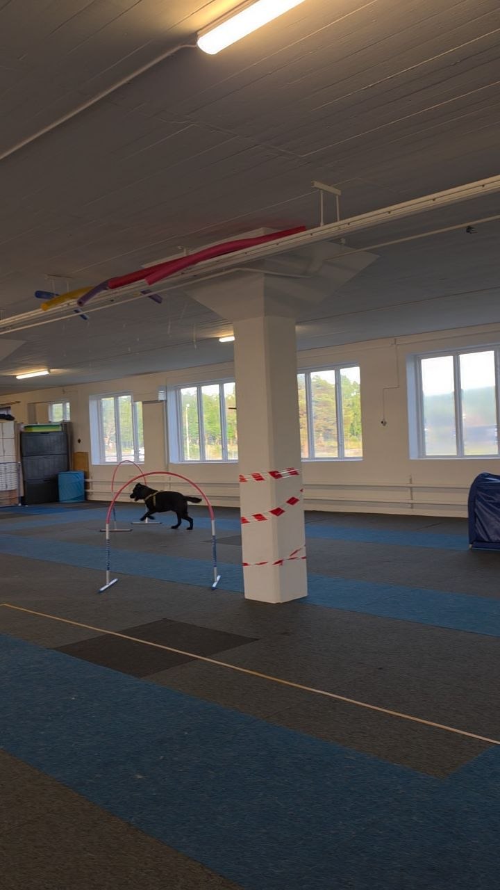 Hoopers grundkurs, intensiv, start 1/12 - Bild 4